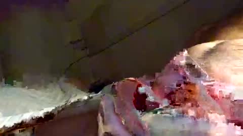 Snooty online show from 01/16/25, 10:23