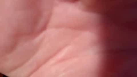 Snooty online show from 02/10/25, 10:51