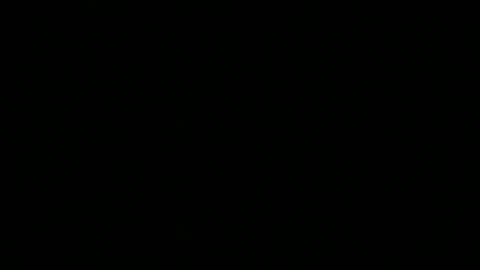 snp__useeitsfun online show from 11/10/25, 09:41