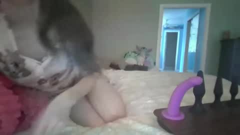 soaring_angel online show from 12/30/24, 03:24