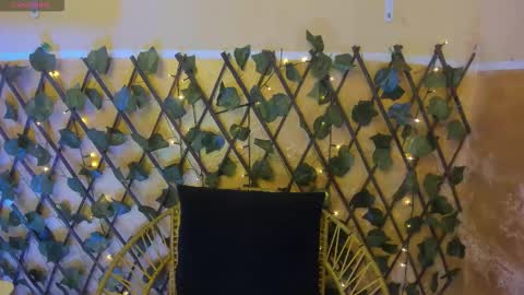 leidy online show from 12/01/25, 08:14