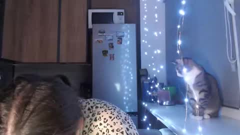 Sofi online show from 10/23/25, 09:13