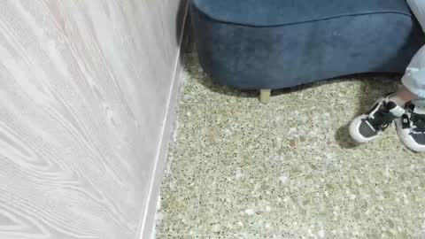 sofi_posada online show from 11/13/25, 10:58