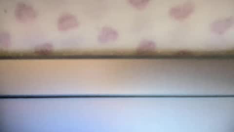 sofia8428 online show from 09/22/25, 10:01