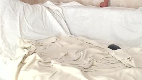 Snapshot of sofia_here chatting on 01/08/25, 08:06 Sofia here online show from 01/08/25, 08:06