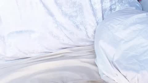 Snapshot of sofia_here chatting on 01/09/25, 06:27 Sofia here online show from 01/09/25, 06:27