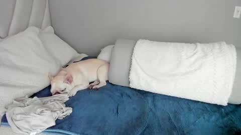 sofia_rivers_ online show from 03/01/25, 12:23