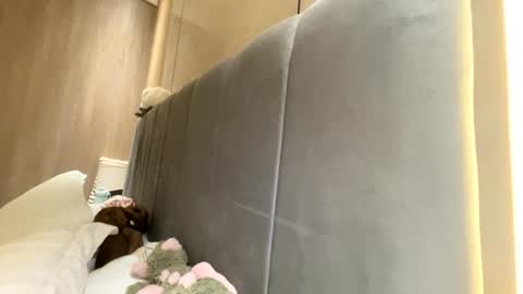 sofiaalvarezx online show from 07/11/26, 05:04