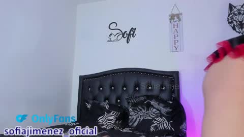 Snapshot of sofiajimenez_ chatting on 02/23/25, 11:25 Sofia Jimenez online show from 02/23/25, 11:25