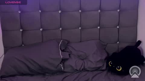 sofiakitty18 online show from 04/18/26, 08:53