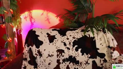 E online show from 11/18/25, 09:14