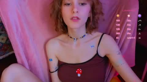 E online show from 04/17/26, 12:08