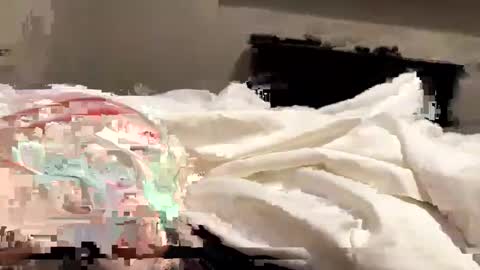 Snapshot of softslickandsweet chatting on 02/04/25, 06:49 softslickandsweet online show from 02/04/25, 06:49