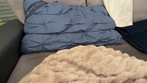 Snapshot of sombre_sdelices chatting on 02/28/26, 11:11 Tayla online show from 02/28/26, 11:11