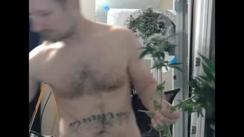 somethingaboutabiee__ online show from 04/18/26, 12:25