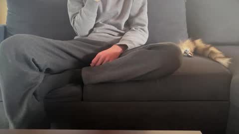 Sondages online show from 03/09/25, 10:41