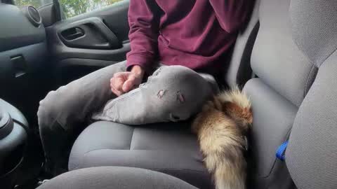 Sondages online show from 11/06/25, 08:04