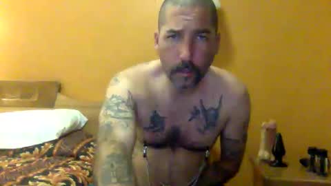 Snapshot of sontoddy chatting on 12/19/24, 03:51 Ryan online show from 12/19/24, 03:51