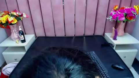 Snapshot of sophi_hardd chatting on 12/13/24, 10:13 sophi_hardd online show from 12/13/24, 10:13