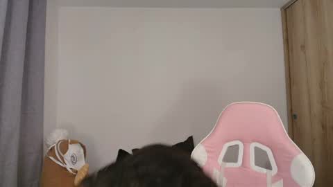 Sophia Storm online show from 05/15/26, 10:50