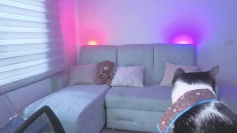 Snapshot of sophie_bbs chatting on 05/25/26, 03:18 Sophie online show from 05/25/26, 03:18