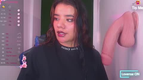 Snapshot of sophie_t_ chatting on 12/22/24, 02:49 Sofia online show from 12/22/24, 02:49