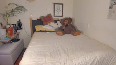 SofiTrans21 online show from 01/12/26, 10:26