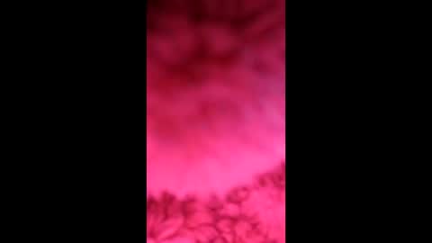 sophiestar735 online show from 02/07/26, 06:11