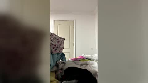 Southernblueyes online show from 04/05/26, 11:13