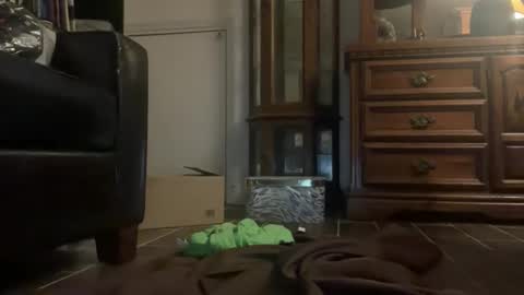 Southernblueyes online show from 04/11/26, 08:13