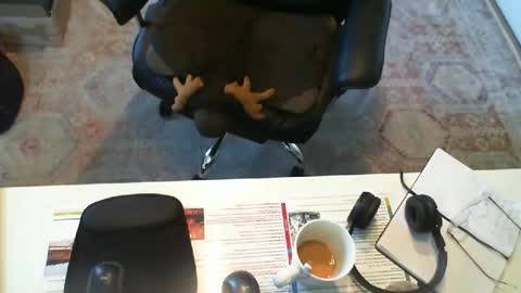 SOUTHERNBONES online show from 09/29/25, 03:06