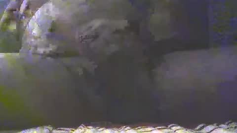 Golan online show from 03/04/25, 07:32