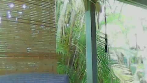 soveryhandsome online show from 01/04/25, 05:58