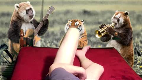 soymigo online show from 02/11/26, 05:23