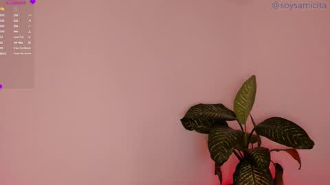 Snapshot of soysamicita_ chatting on 12/17/24, 08:34 Sami Diaz online show from 12/17/24, 08:34