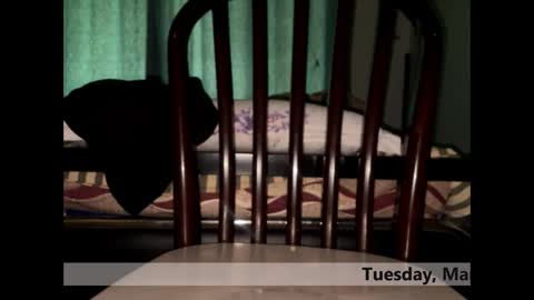 space Dog25 online show from 03/03/26, 05:24