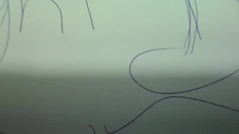 Scottietee online show from 03/02/26, 05:08