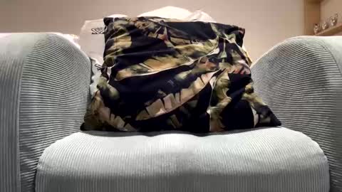 Dany online show from 02/11/25, 11:54