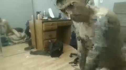 Snapshot of speedfreekeespun chatting on 02/25/25, 07:14 speedfreekeespun online show from 02/25/25, 07:14