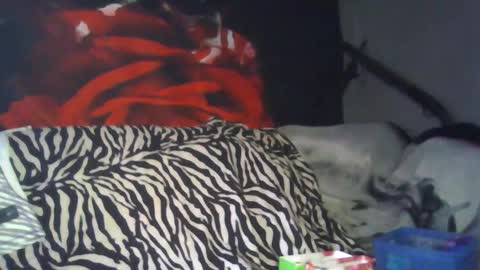 Daddy  His Splash Queen online show from 09/26/25, 08:13