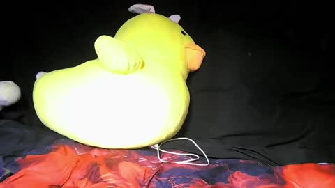 Daddy  His Splash Queen online show from 12/05/25, 04:43