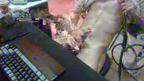 SPOKO online show from 02/22/26, 01:31