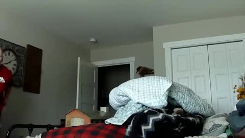 sportfish online show from 02/21/26, 10:33