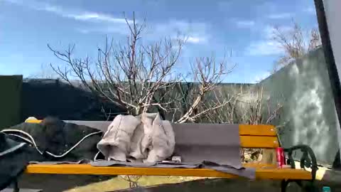 My name is Maya Lush is activeThere are legends that in this room all your wishes can come true  Private is Open online show from 03/07/25, 10:02