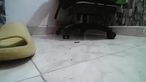 sr master cum its my old account online show from 01/31/26, 07:11