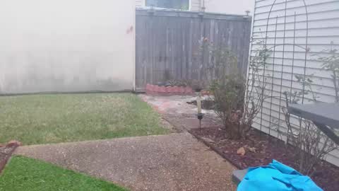 srtxshow online show from 02/05/25, 03:20