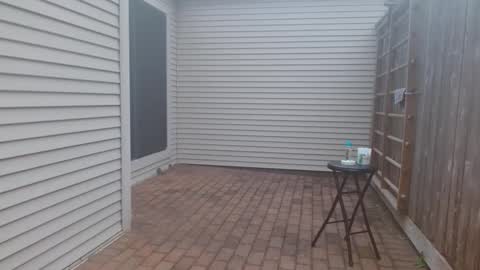 srtxshow online show from 03/03/25, 11:24