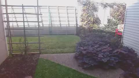 srtxshow online show from 11/16/25, 08:47