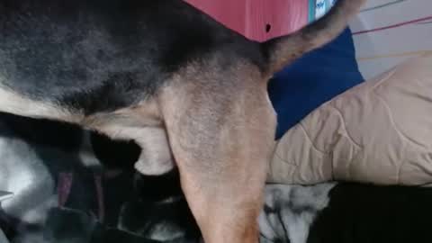 Sinserity online show from 04/02/26, 09:23