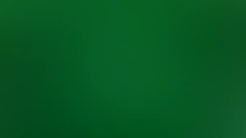 stacysquirtle online show from 02/04/26, 12:00